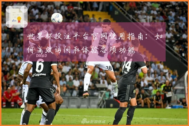 世界杯投注平台官网使用指南：如何高效访问和体验各项功能