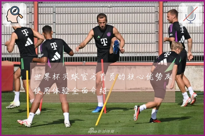 世界杯买球官方首页的核心优势及使用体验全面介绍