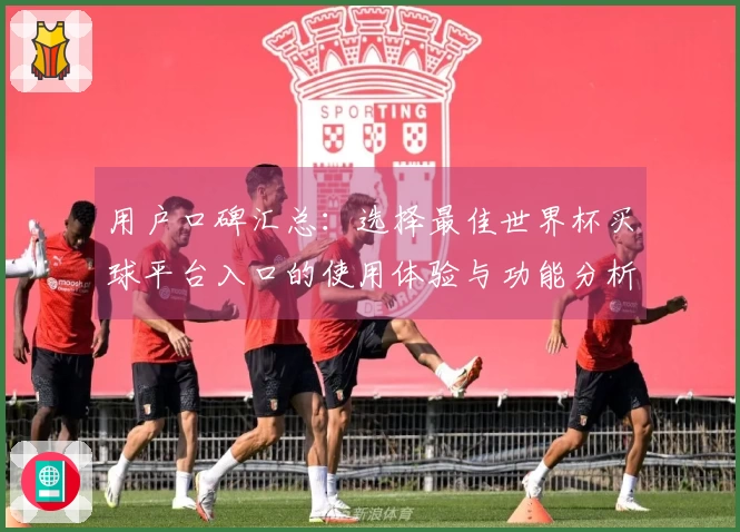 用户口碑汇总：选择最佳世界杯买球平台入口的使用体验与功能分析
