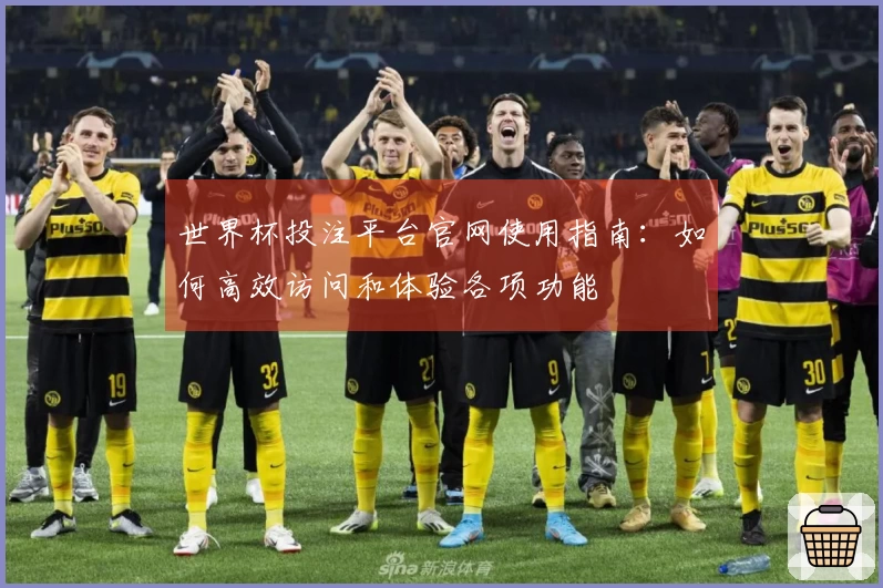 世界杯投注平台官网使用指南：如何高效访问和体验各项功能